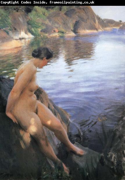 Anders Zorn Unknow work 100